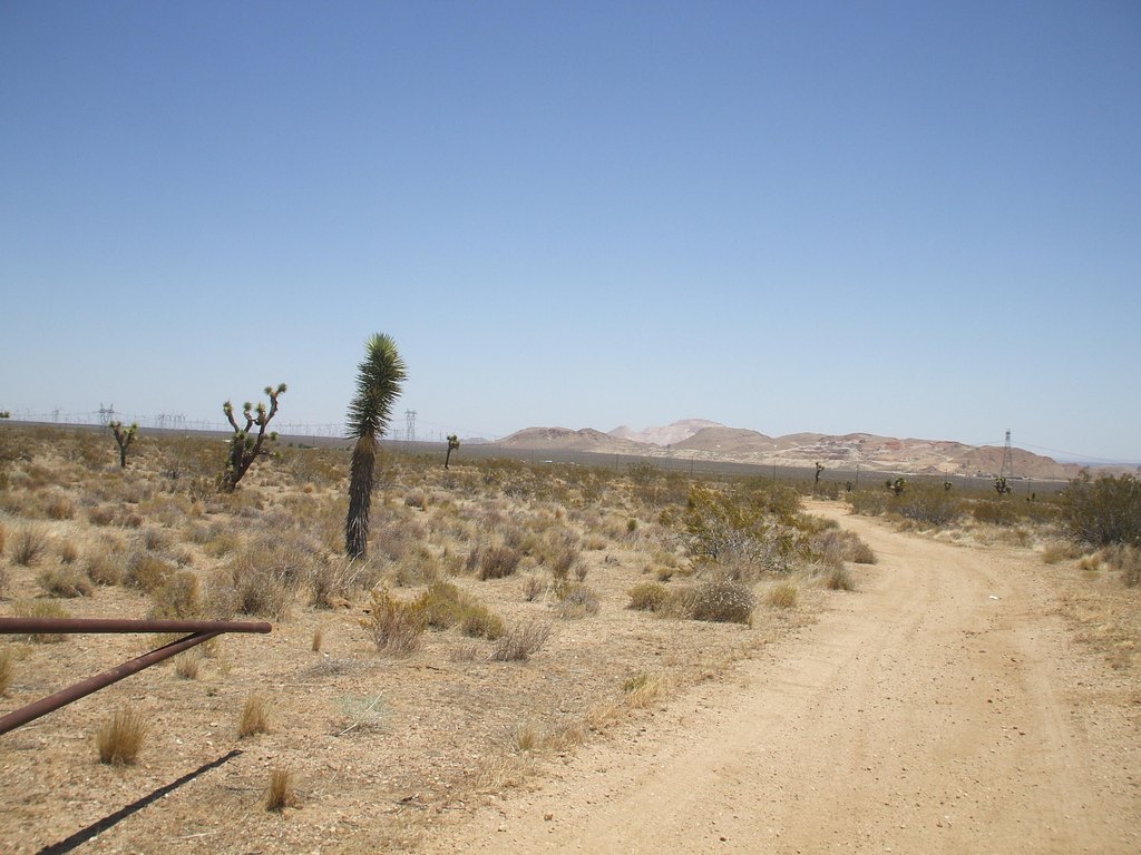 Picture 4