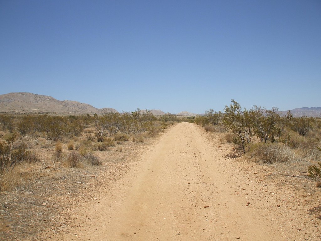 Picture 14