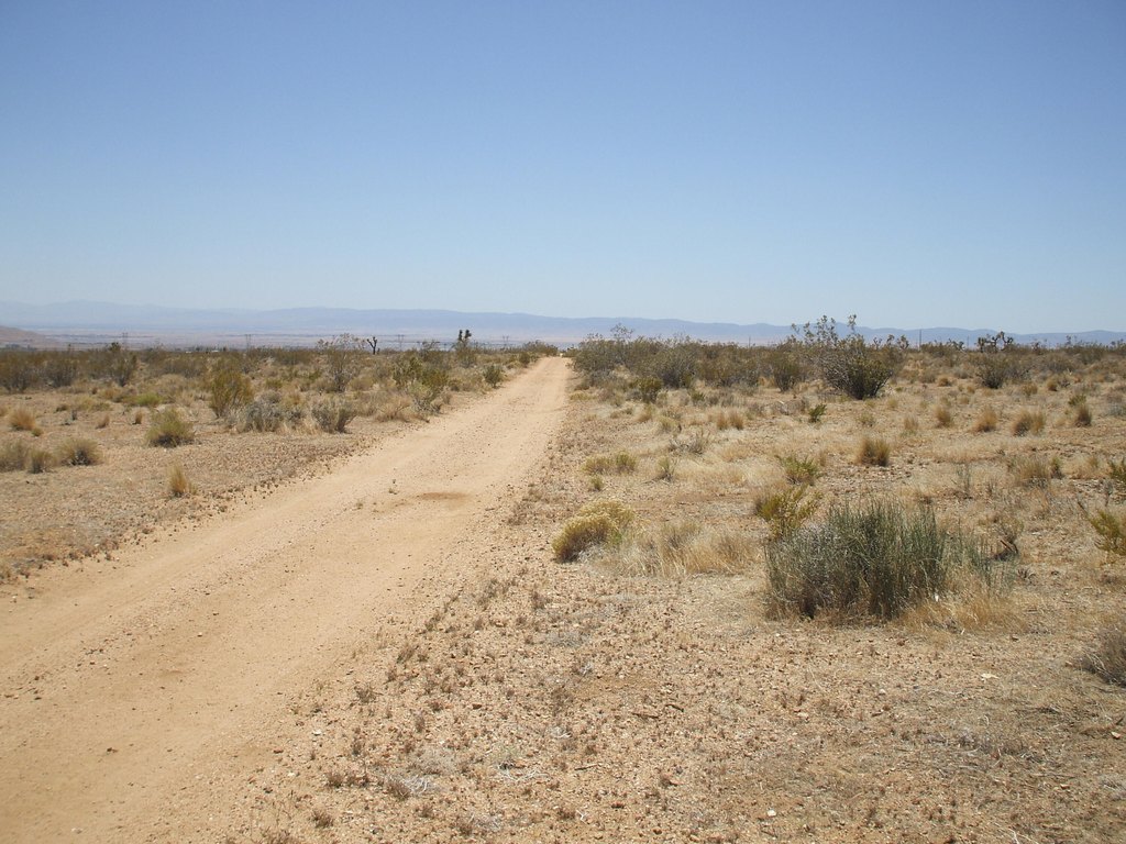 Picture 17