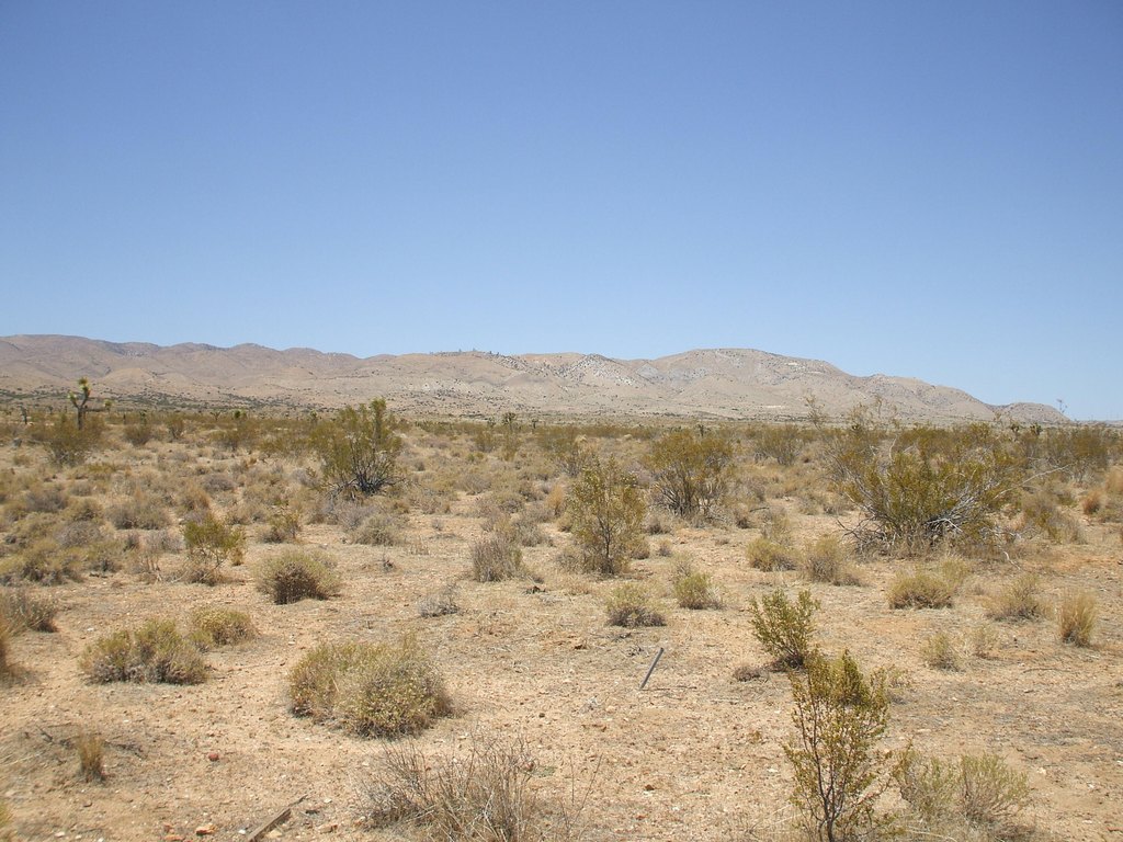 Picture 7