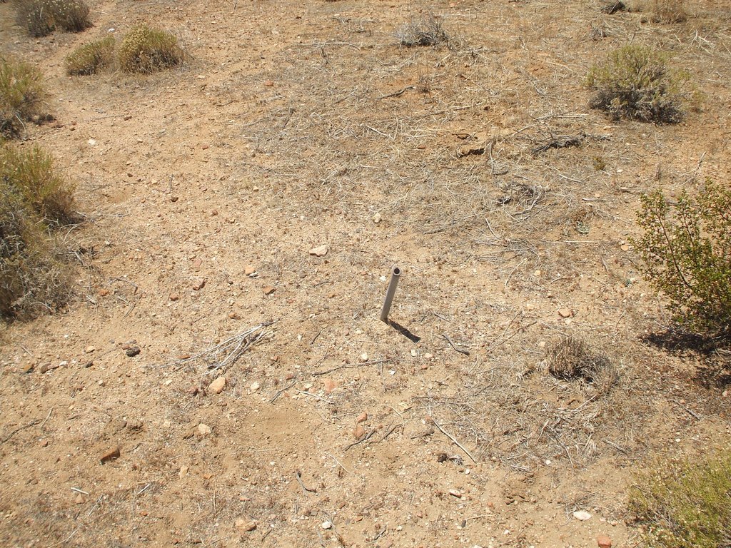 Picture 9