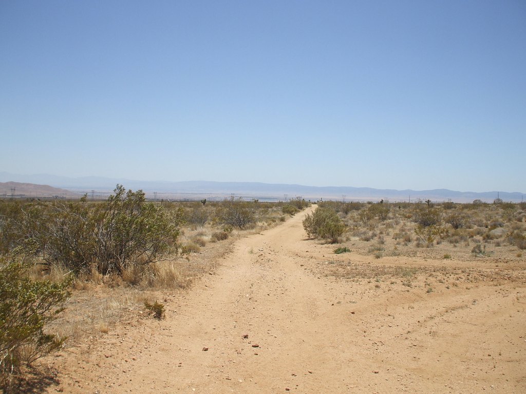 Picture 13