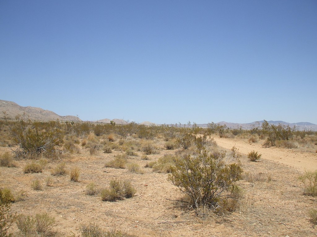 Picture 6