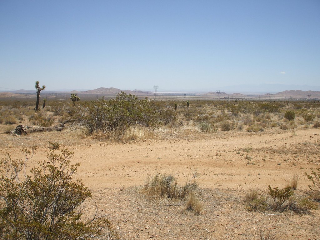 Picture 12