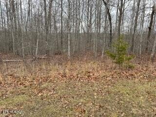 Crawford, TN Land for Sale