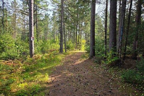 Land, Tomahawk, WI