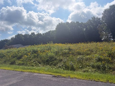 LAND - Oneonta, NY
