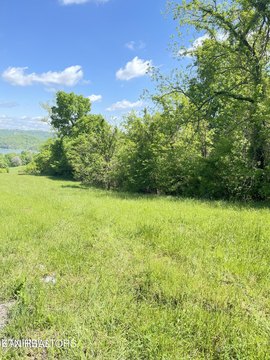 LAND - Maynardville, TN