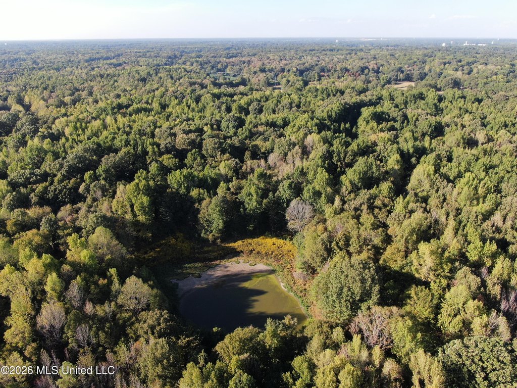 Picture 63