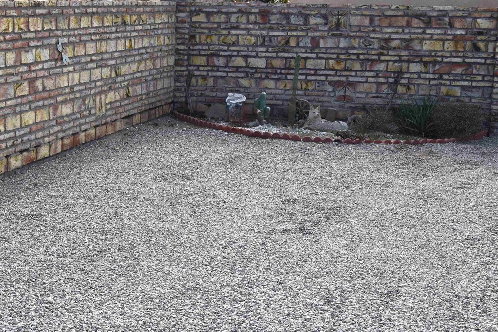 Picture 23