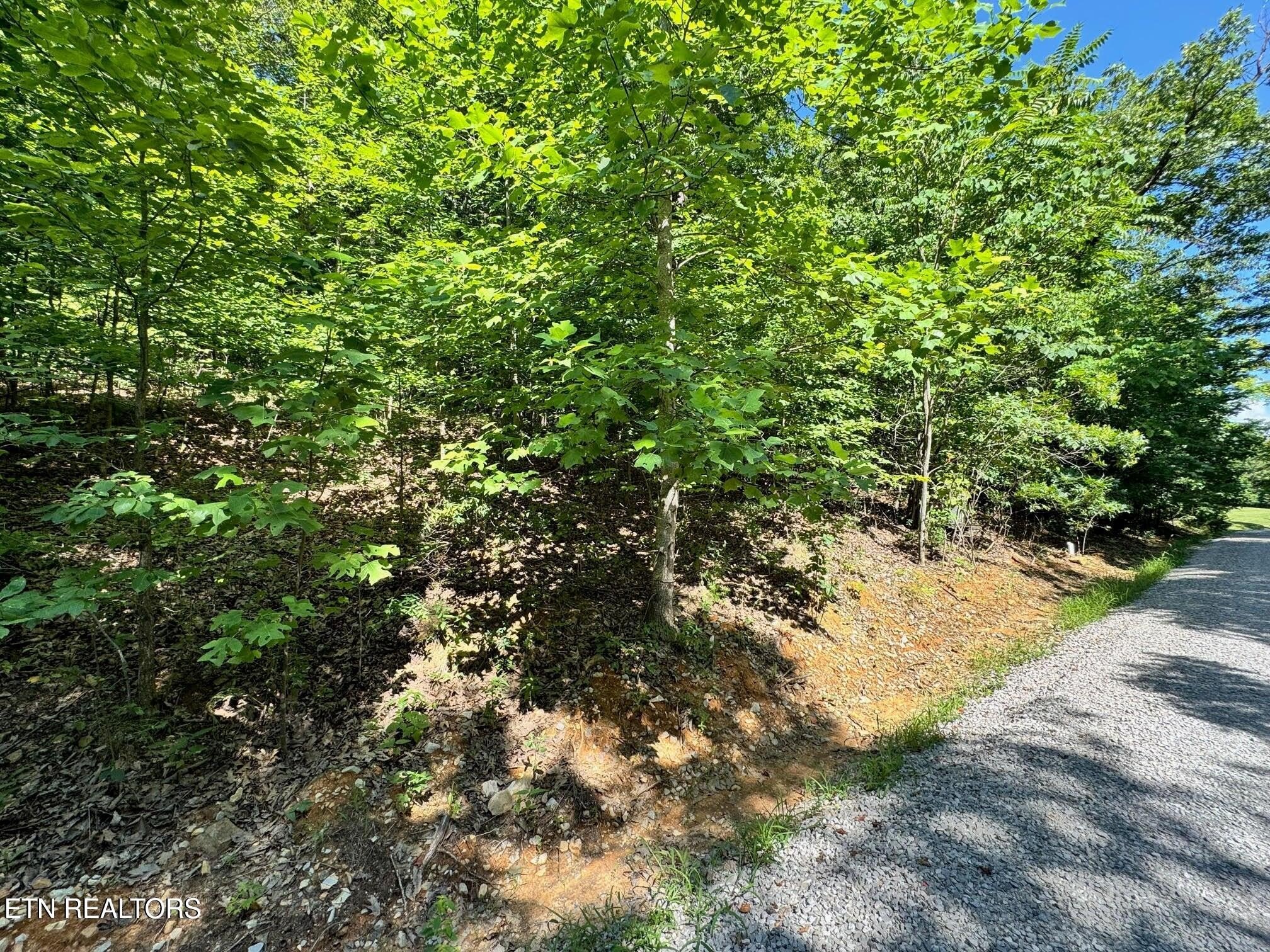 Wooded Lot in Gated Community