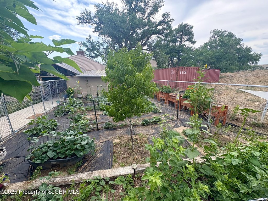 Picture 22