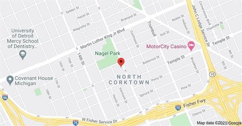 Detroit Land in North Corktown