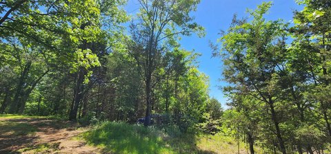 Residential Lot in Quiet Subdivision