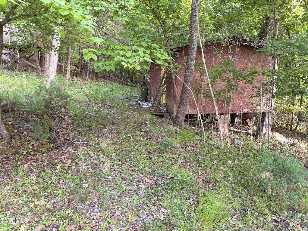 Picture 6