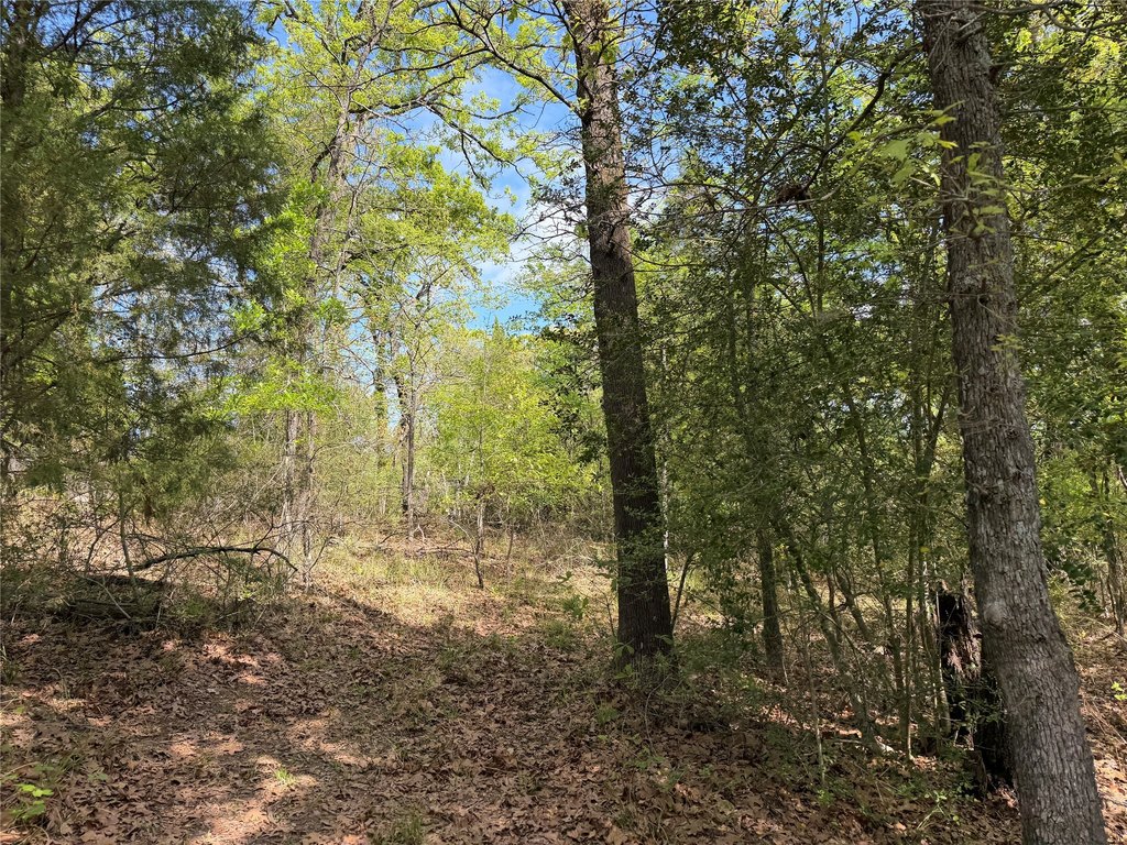 Picture 24