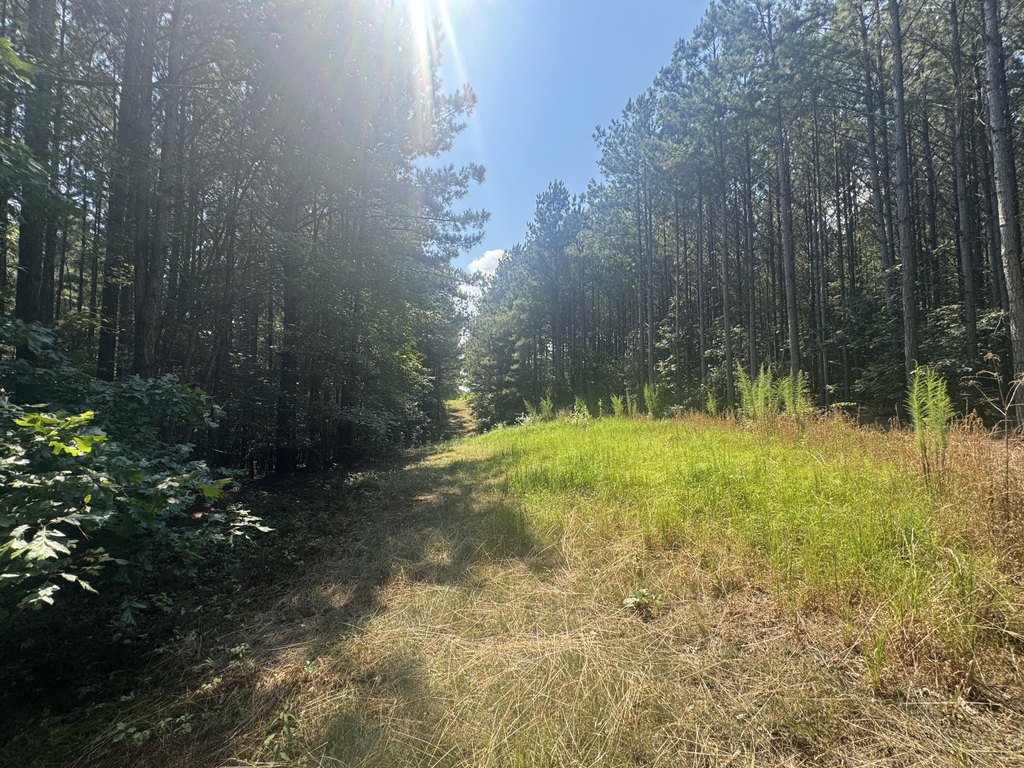 Picture 21