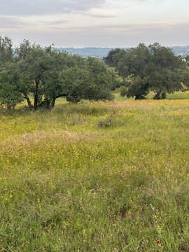 Corner Lot with Hill Country Views