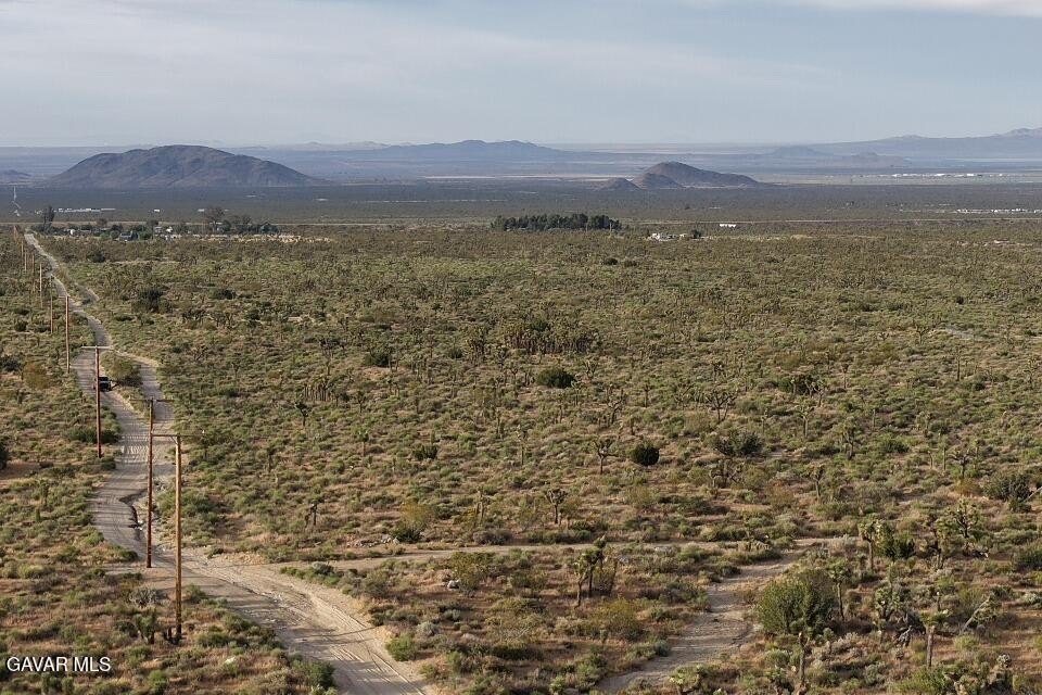 Picture 20