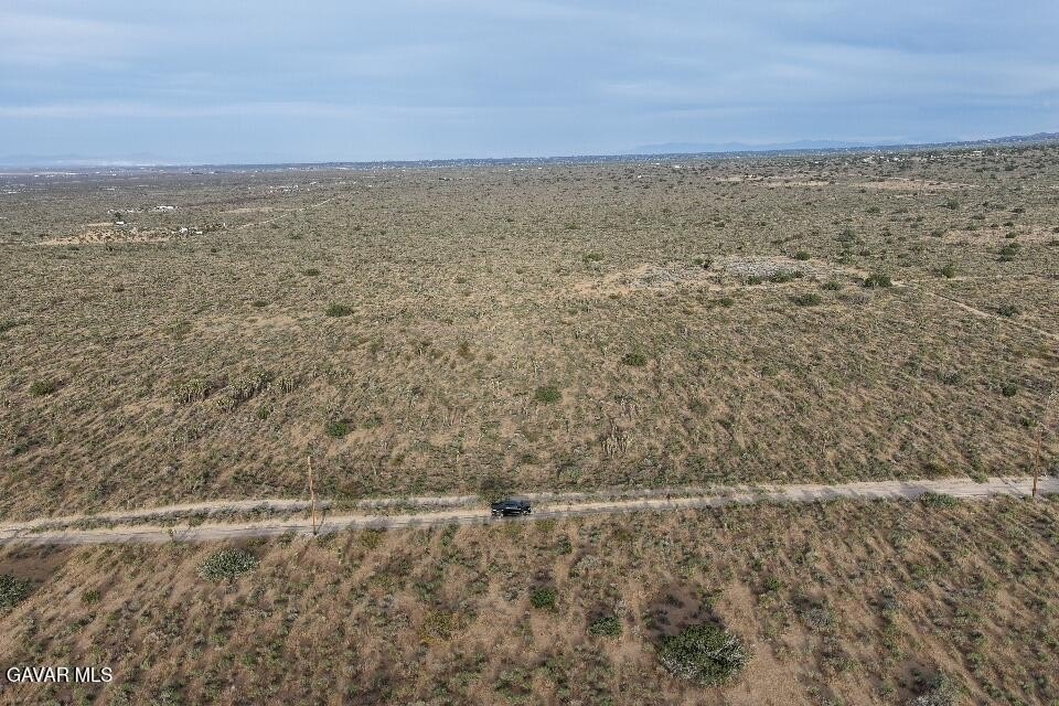 Picture 4