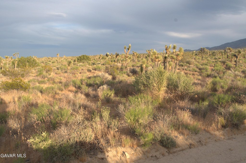 Picture 22