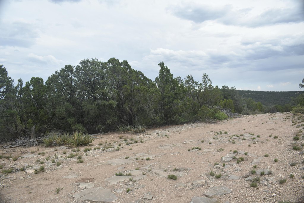 Picture 8