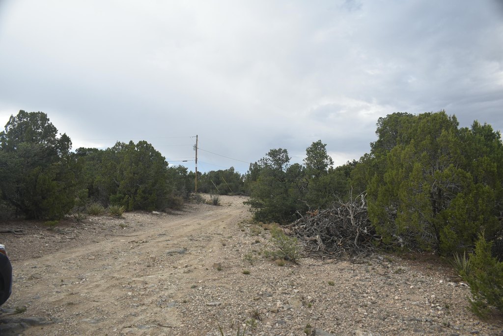 Picture 4