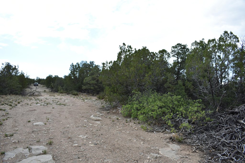 Picture 25