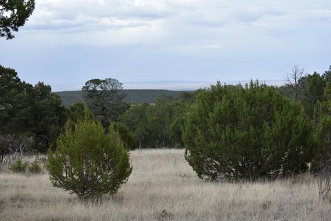 LAND - Edgewood, NM