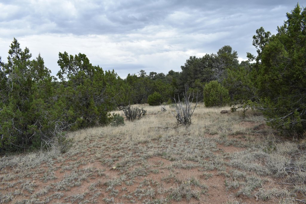 Picture 18