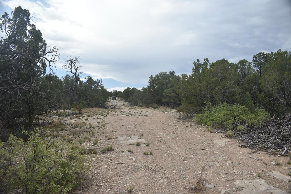 Picture 9