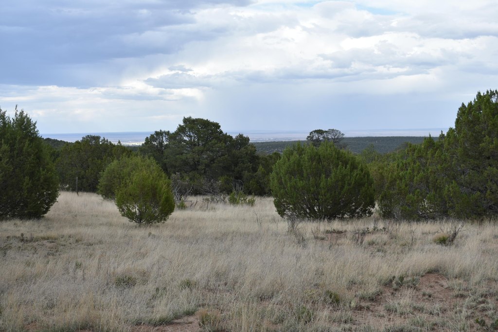 Picture 20