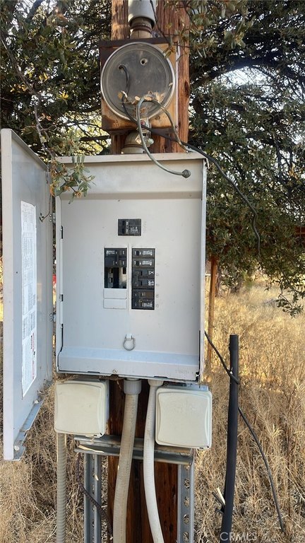 Picture 6