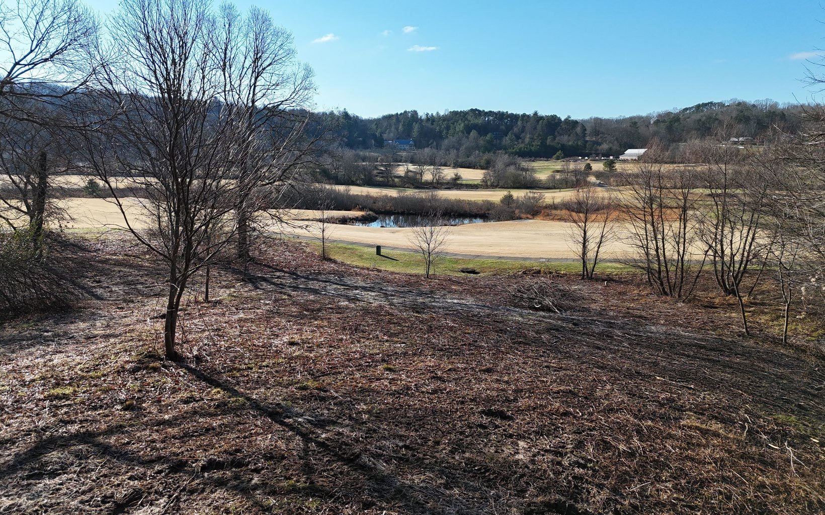Golf Course Frontage Vacant Lot
