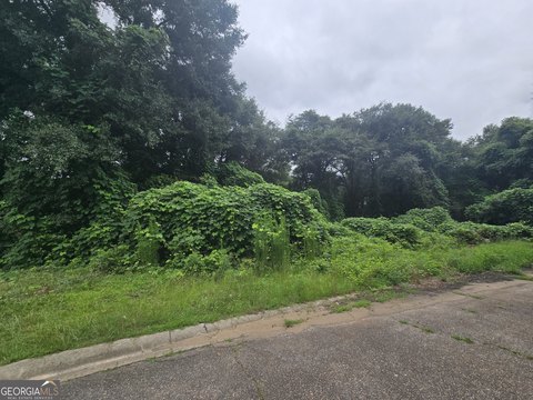 LAND - Perry, GA