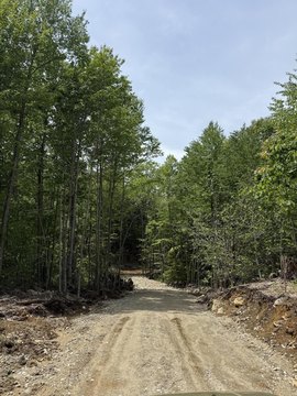 LAND - Shapleigh, ME