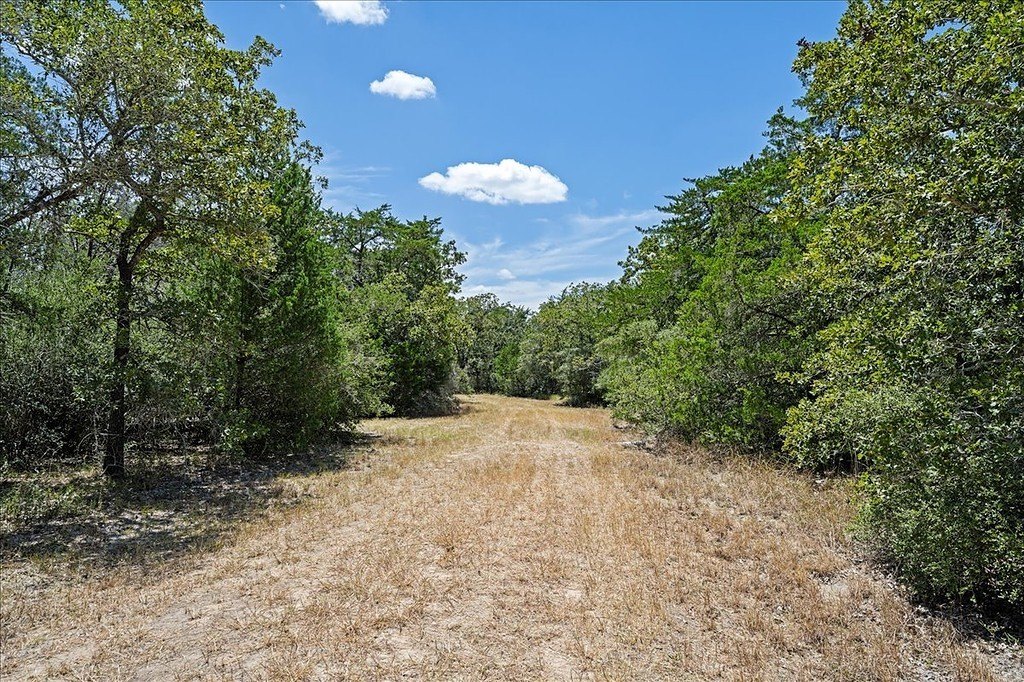 Picture 3