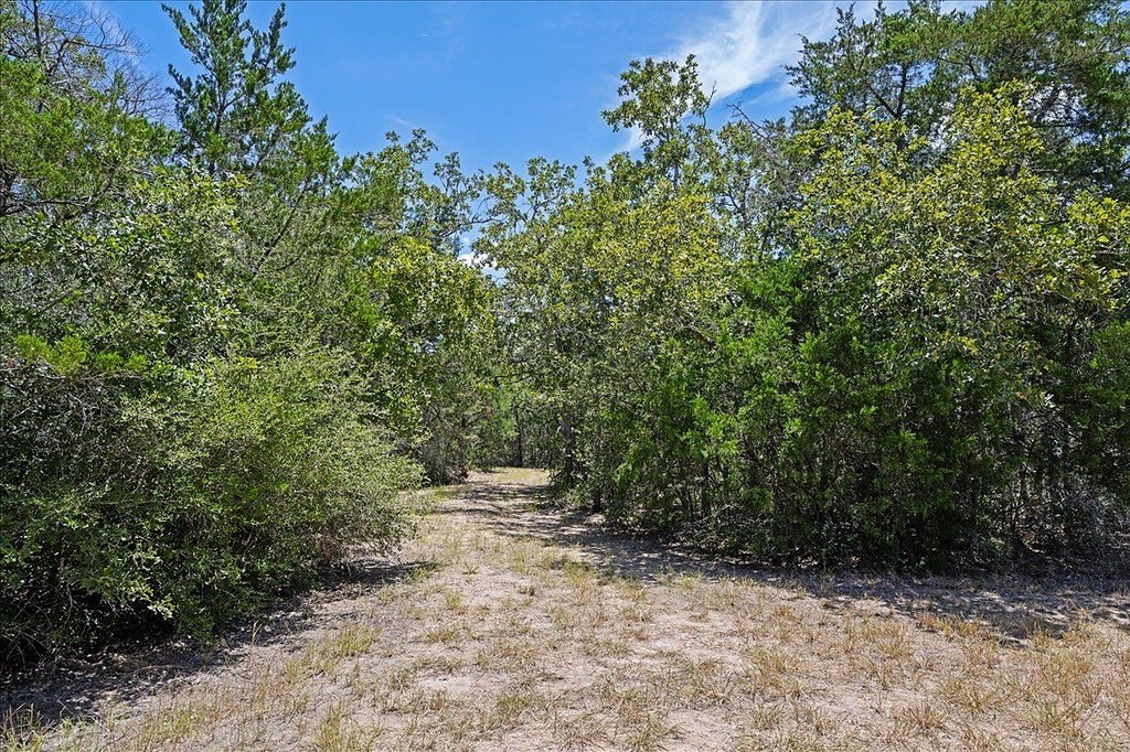Picture 5