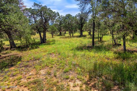 Land, Overgaard, AZ