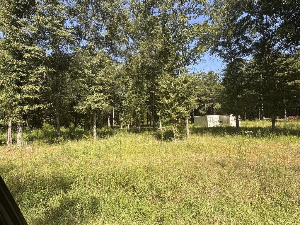 Picture 4
