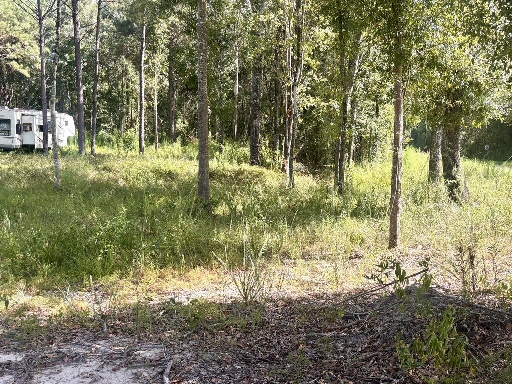 Picture 9