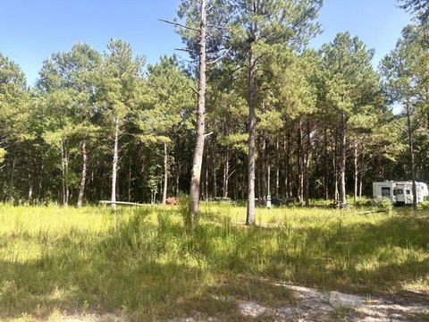LAND - Poplarville, MS
