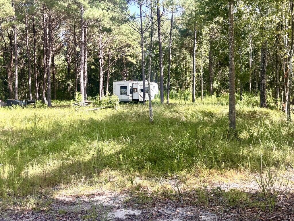 Picture 8