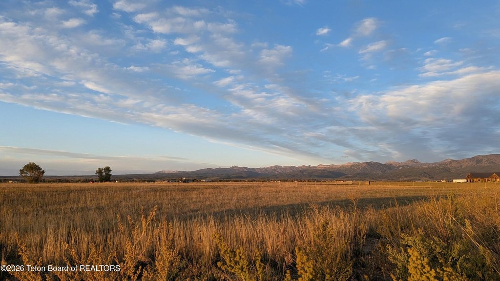 Picture 27