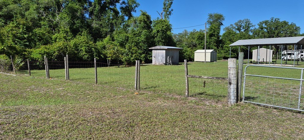 Picture 13