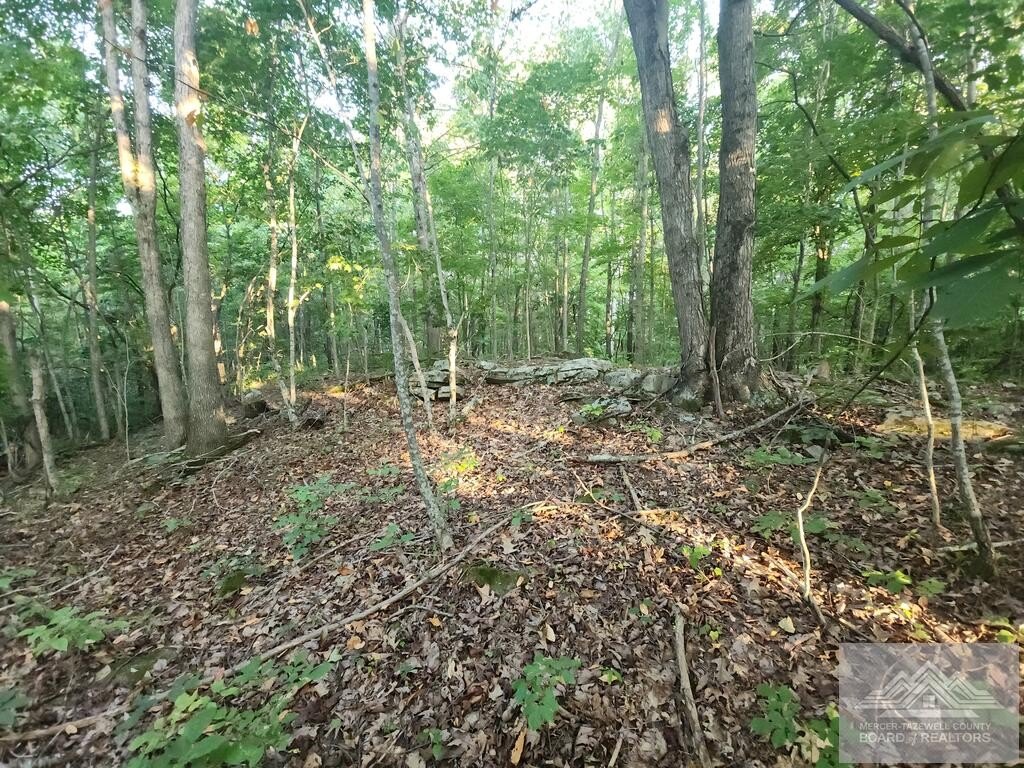 Picture 22
