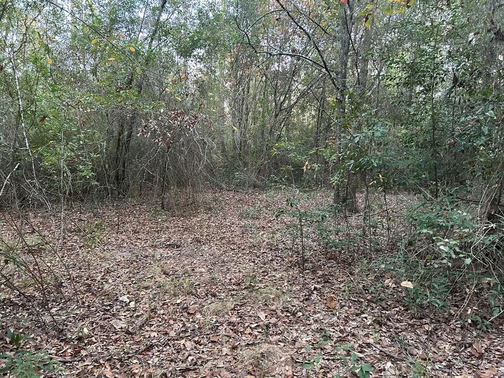 Donalsonville, GA Building Lots