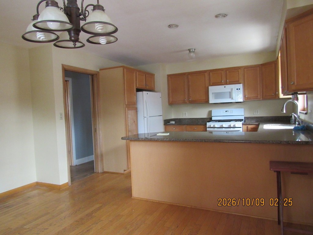 Picture 22