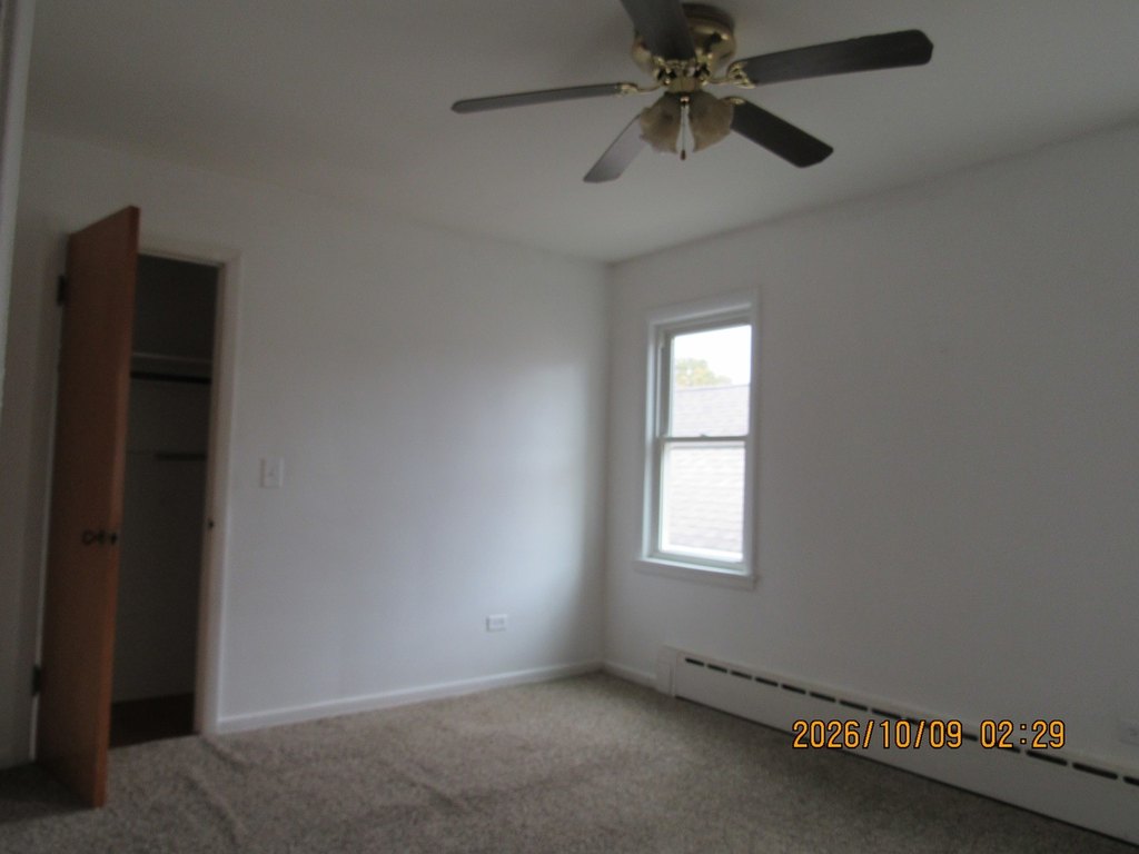 Picture 19