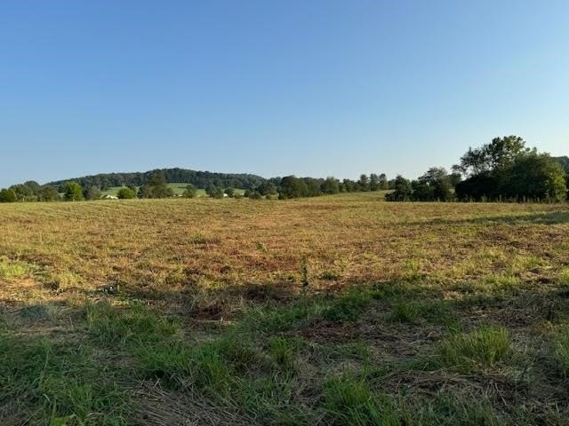 Picture 7